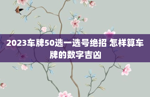 2023车牌50选一选号绝招 怎样算车牌的数字吉凶