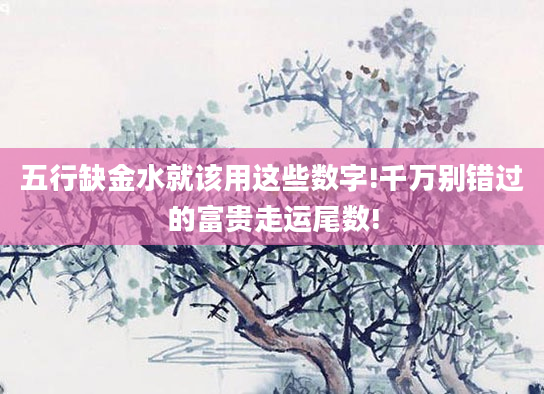 五行缺金水就该用这些数字!千万别错过的富贵走运尾数!