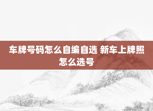 车牌号码怎么自编自选 新车上牌照怎么选号