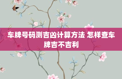 车牌号码测吉凶计算方法 怎样查车牌吉不吉利