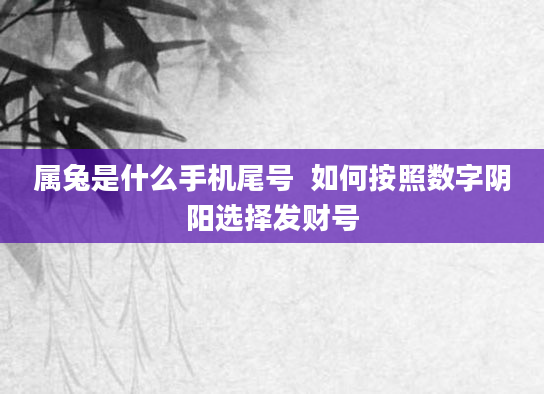 属兔是什么手机尾号  如何按照数字阴阳选择发财号