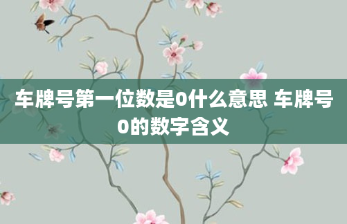 车牌号第一位数是0什么意思 车牌号0的数字含义