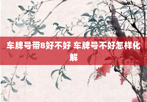 车牌号带8好不好 车牌号不好怎样化解