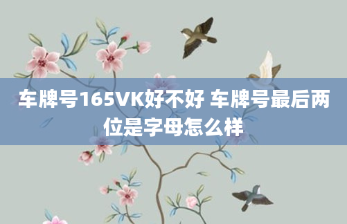车牌号165VK好不好 车牌号最后两位是字母怎么样