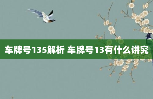 车牌号135解析 车牌号13有什么讲究