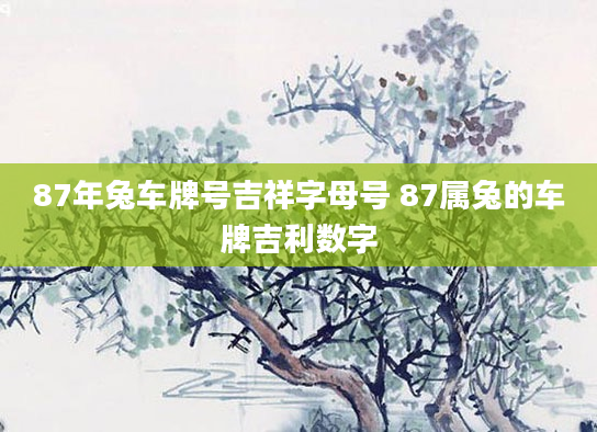 87年兔车牌号吉祥字母号 87属兔的车牌吉利数字