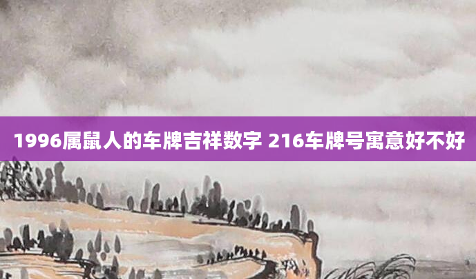 1996属鼠人的车牌吉祥数字 216车牌号寓意好不好
