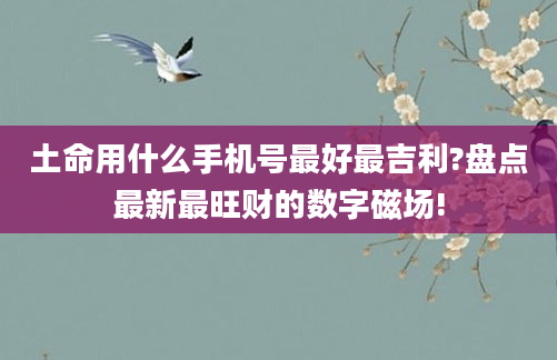 土命用什么手机号最好最吉利?盘点最新最旺财的数字磁场!