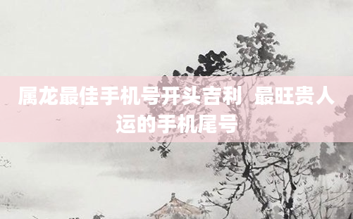 属龙最佳手机号开头吉利  最旺贵人运的手机尾号