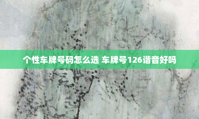 个性车牌号码怎么选 车牌号126谐音好吗