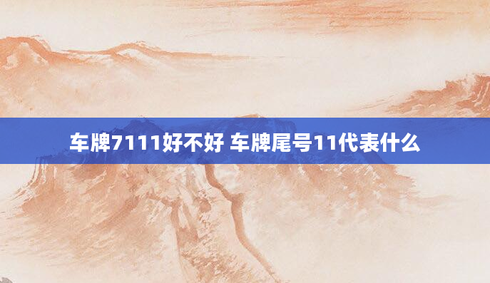 车牌7111好不好 车牌尾号11代表什么