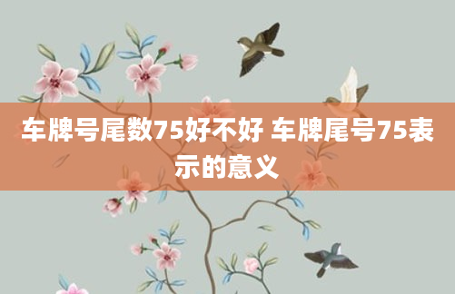 车牌号尾数75好不好 车牌尾号75表示的意义
