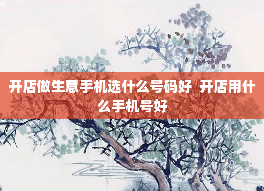 开店做生意手机选什么号码好  开店用什么手机号好
