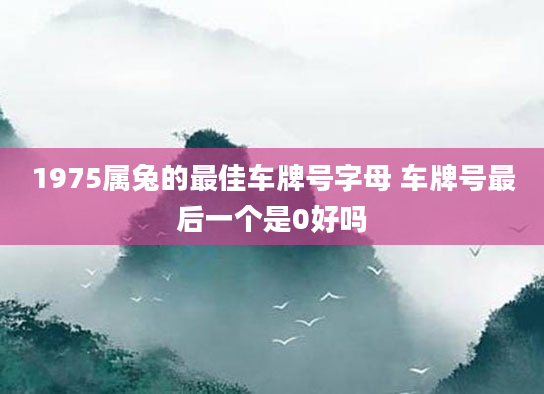 1975属兔的最佳车牌号字母 车牌号最后一个是0好吗
