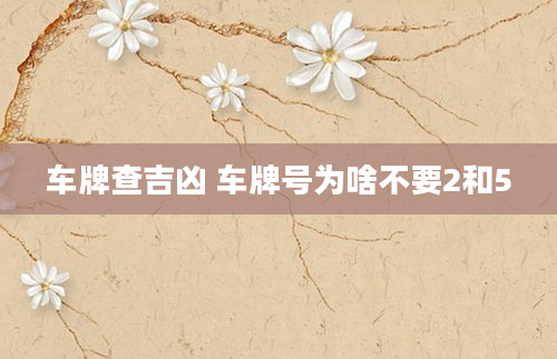 车牌查吉凶 车牌号为啥不要2和5