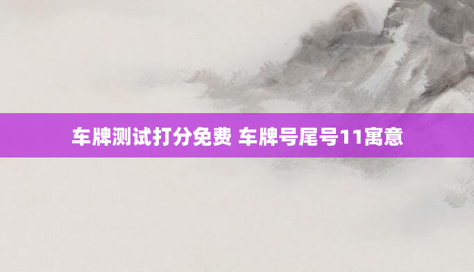 车牌测试打分免费 车牌号尾号11寓意