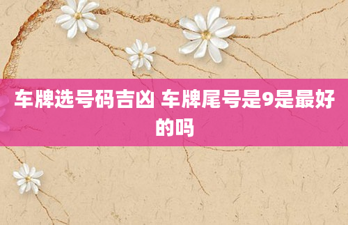 车牌选号码吉凶 车牌尾号是9是最好的吗