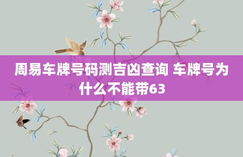 周易车牌号码测吉凶查询 车牌号为什么不能带63
