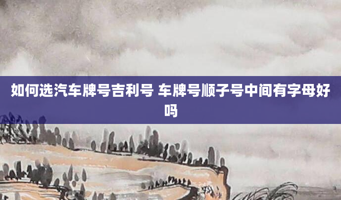 如何选汽车牌号吉利号 车牌号顺子号中间有字母好吗