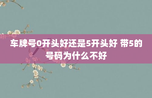 车牌号0开头好还是5开头好 带5的号码为什么不好