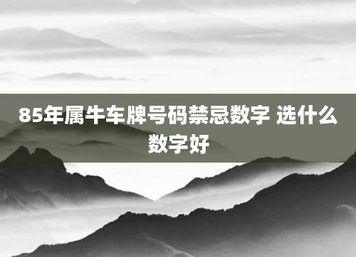 85年属牛车牌号码禁忌数字 选什么数字好