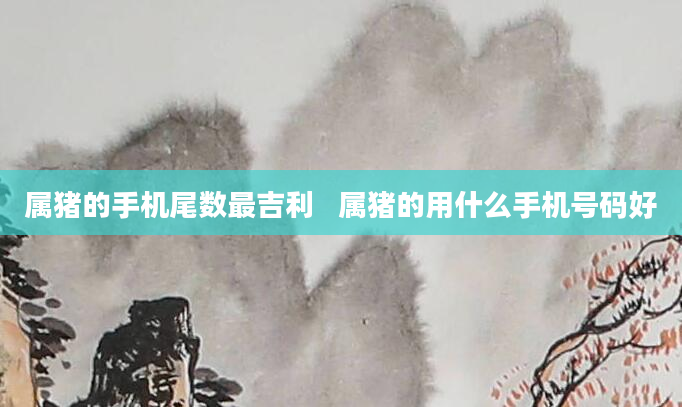 属猪的手机尾数最吉利   属猪的用什么手机号码好