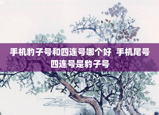 手机豹子号和四连号哪个好  手机尾号四连号是豹子号