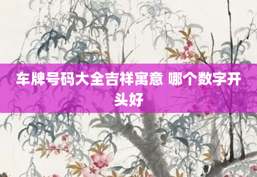 车牌号码大全吉祥寓意 哪个数字开头好