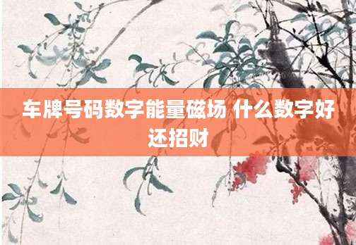 车牌号码数字能量磁场 什么数字好还招财
