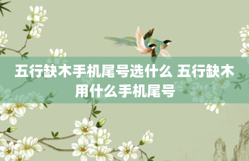 五行缺木手机尾号选什么 五行缺木用什么手机尾号