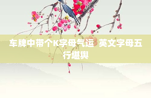 车牌中带个K字母气运  英文字母五行堪舆