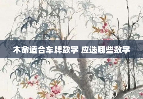 木命适合车牌数字 应选哪些数字