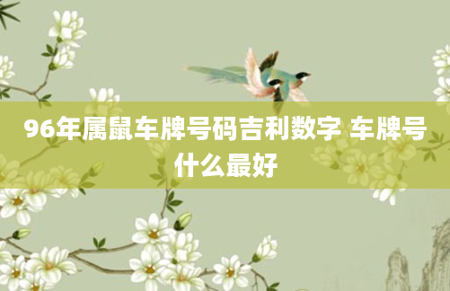 96年属鼠车牌号码吉利数字 车牌号什么最好