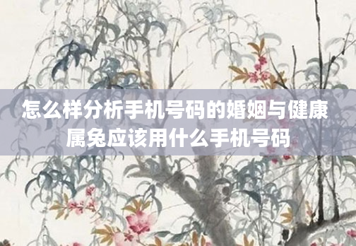 怎么样分析手机号码的婚姻与健康 属兔应该用什么手机号码