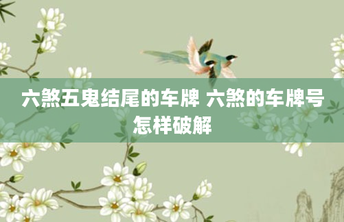 六煞五鬼结尾的车牌 六煞的车牌号怎样破解