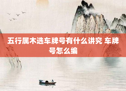 五行属木选车牌号有什么讲究 车牌号怎么编