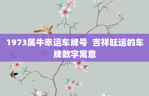 1973属牛幸运车牌号  吉祥旺运的车牌数字寓意