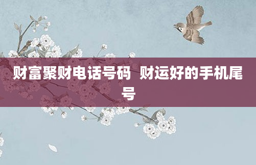 财富聚财电话号码  财运好的手机尾号