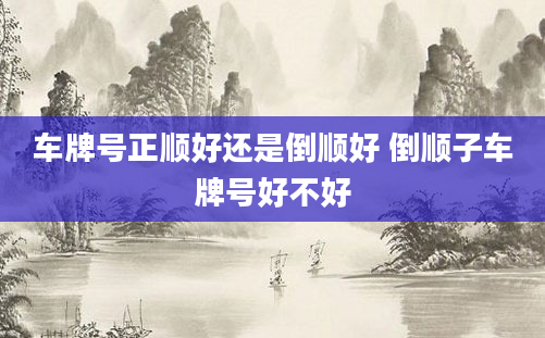 车牌号正顺好还是倒顺好 倒顺子车牌号好不好