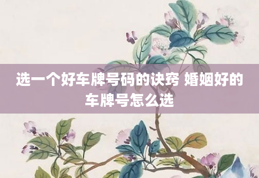 选一个好车牌号码的诀窍 婚姻好的车牌号怎么选