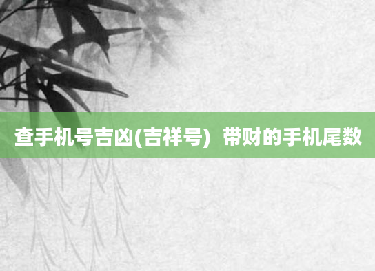 查手机号吉凶(吉祥号)  带财的手机尾数