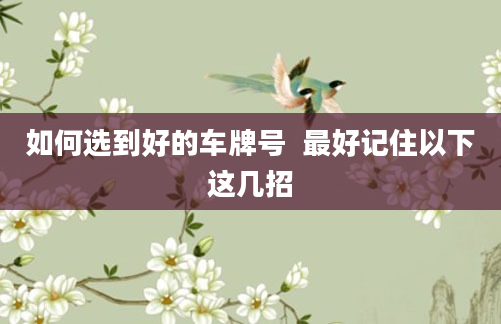 如何选到好的车牌号  最好记住以下这几招
