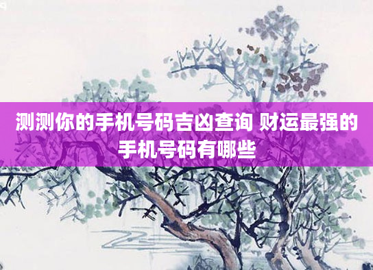 测测你的手机号码吉凶查询 财运最强的手机号码有哪些