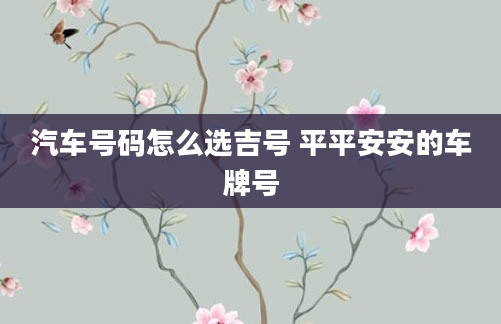 汽车号码怎么选吉号 平平安安的车牌号