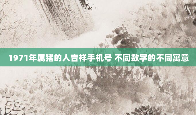 1971年属猪的人吉祥手机号 不同数字的不同寓意