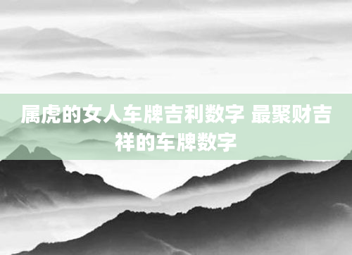 属虎的女人车牌吉利数字 最聚财吉祥的车牌数字
