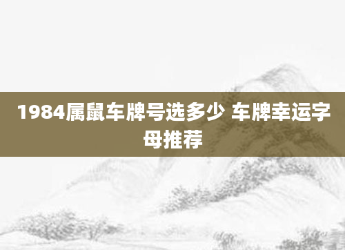 1984属鼠车牌号选多少 车牌幸运字母推荐