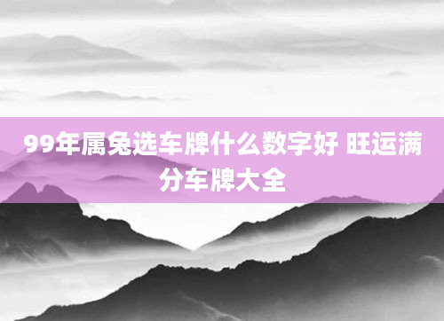99年属兔选车牌什么数字好 旺运满分车牌大全