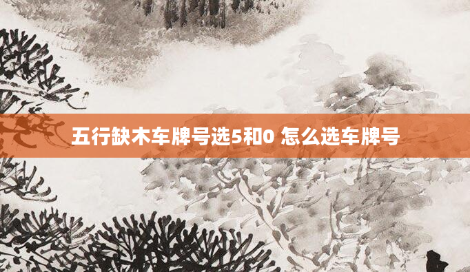五行缺木车牌号选5和0 怎么选车牌号