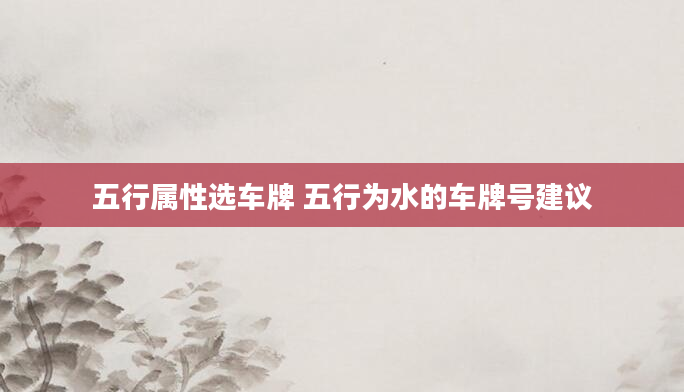 五行属性选车牌 五行为水的车牌号建议